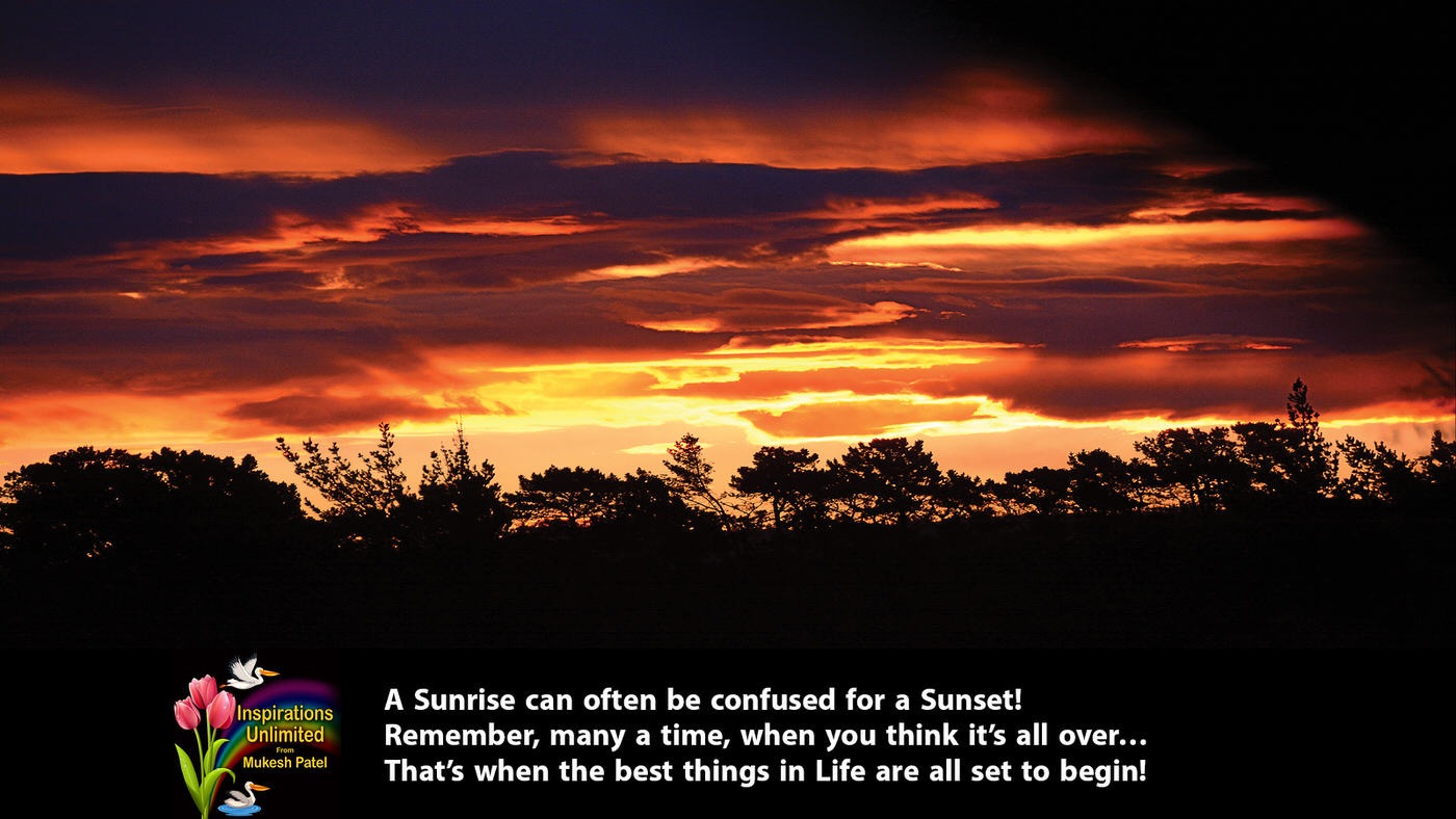 Midnight Sun
